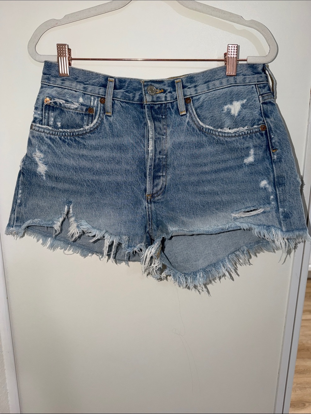 Agolde Button Fly Raw Hem Denim Shorts | 27